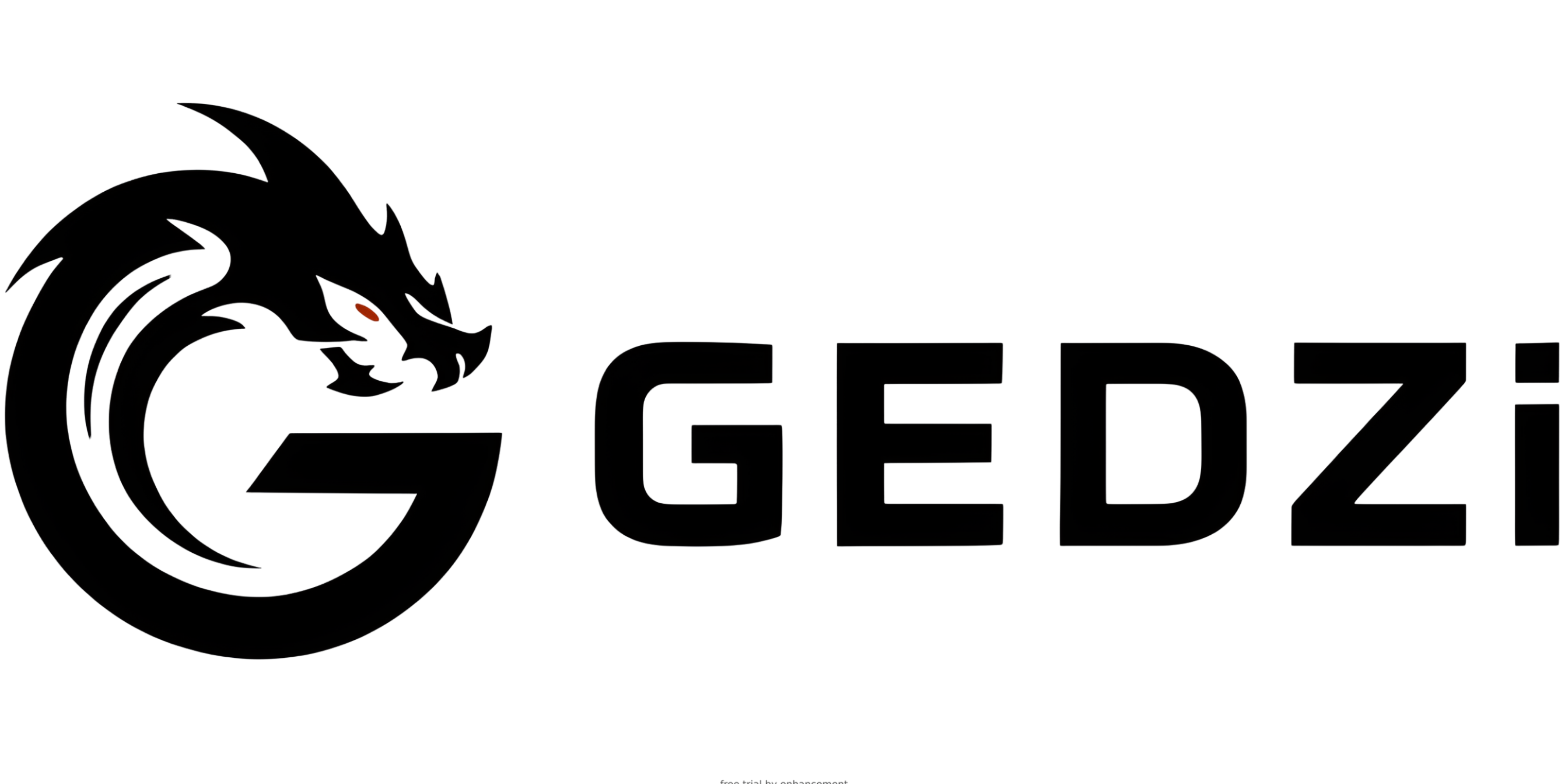 Gedzi logo